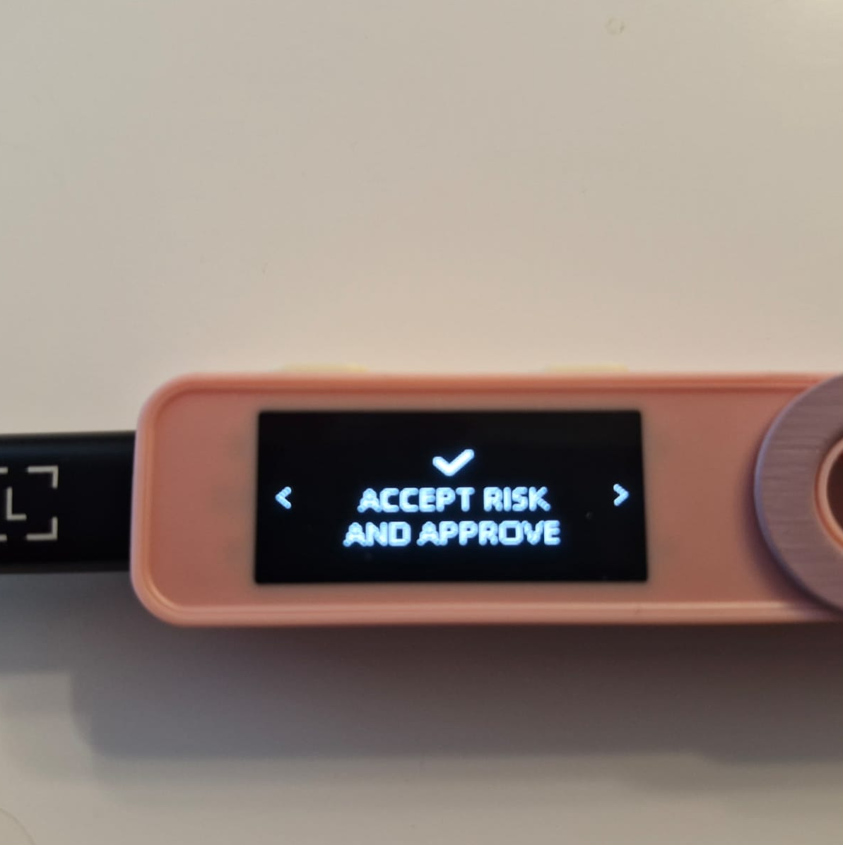 The Ledger device screen asking to accept risk and approve the signature